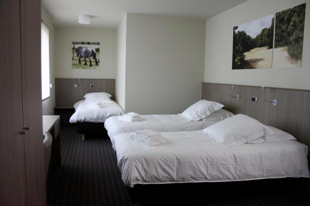 Hotel Otus Wetteren الغرفة الصورة